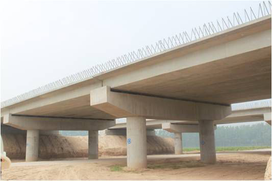 Yongcheng Section of Jining-Qimen Expressway (Phase II ) (S97)